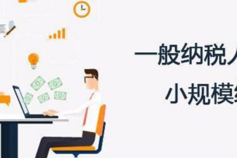 拉薩的一般納稅人和小規(guī)模納稅人納稅方式以及認(rèn)定資格是什么？同內(nèi)地企業(yè)有區(qū)別嗎？