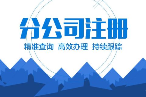 在拉薩設(shè)立分公司的流程、所需材料、辦理時間