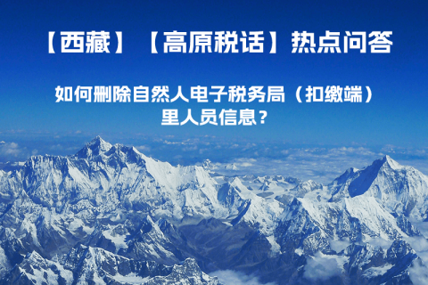 如何刪除西藏自然人電子稅務(wù)局（扣繳端）里人員信息？