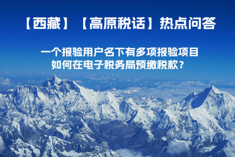 一個(gè)報(bào)驗(yàn)用戶名下有多項(xiàng)報(bào)驗(yàn)項(xiàng)目，如何在電子稅務(wù)局預(yù)繳稅款？