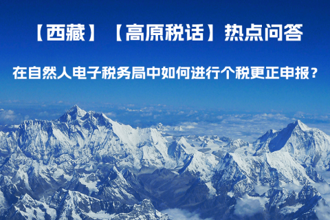 在自然人電子稅務(wù)局中如何進行個稅更正申報？
