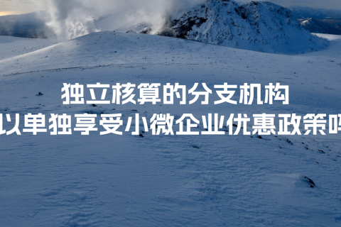 獨立核算的分支機(jī)構(gòu)可以單獨享受小微企業(yè)優(yōu)惠政策嗎？