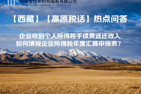 企業(yè)收到個人所得稅手續(xù)費返還收入，如何填報企業(yè)所得稅年度匯算申報表？